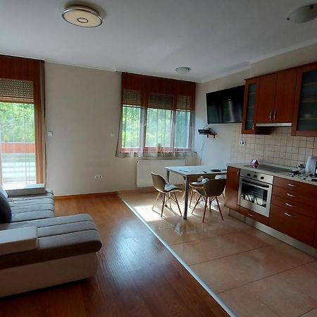 Sunny Loft Kecskemet Apartment Ngoại thất bức ảnh