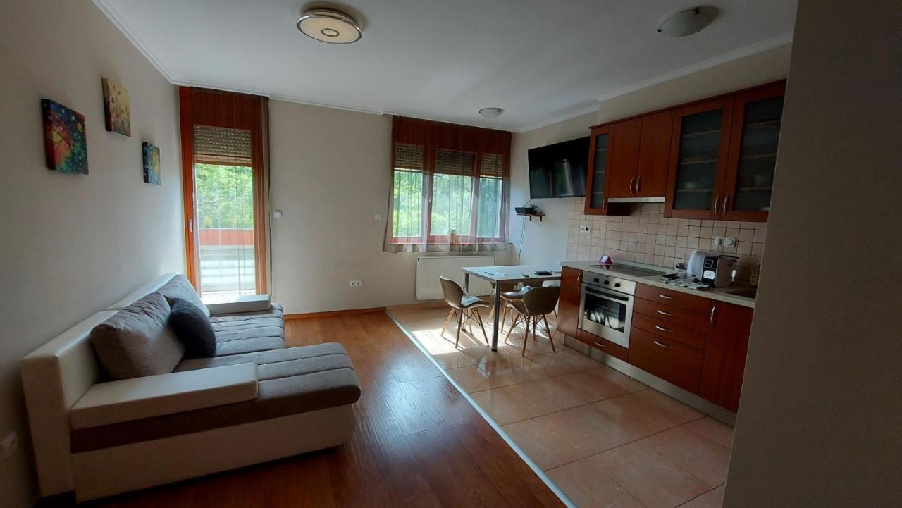 Sunny Loft Kecskemet Apartment Ngoại thất bức ảnh